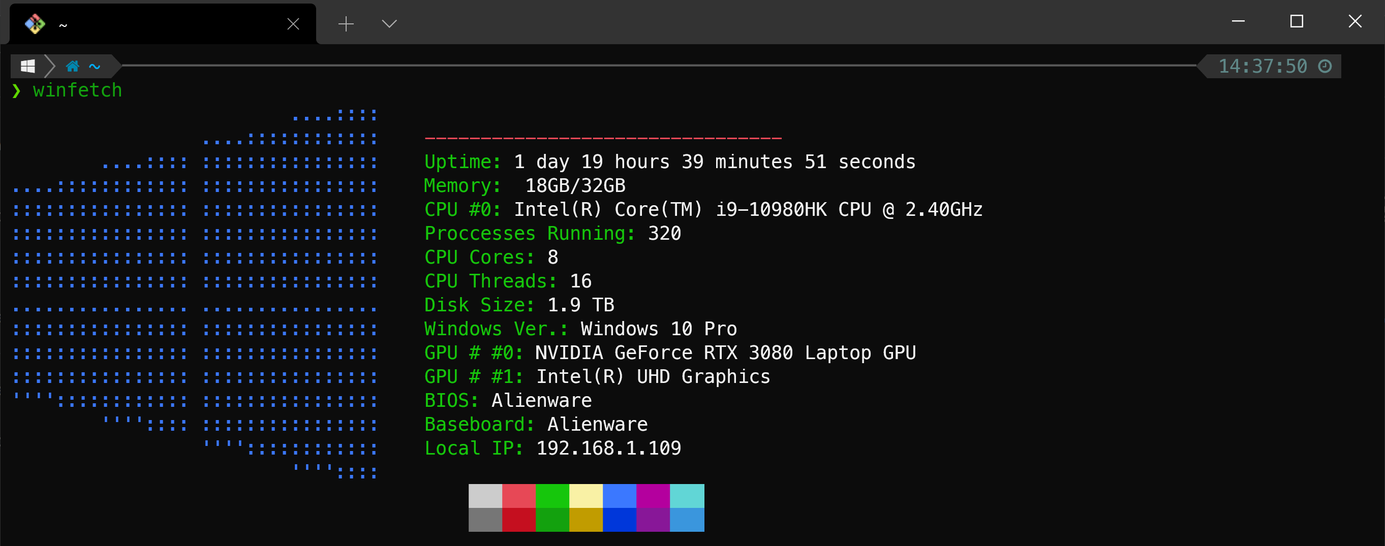 windows git bash config location